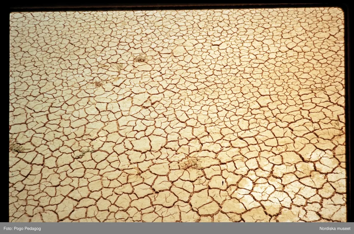 Torka och miljöförstöring