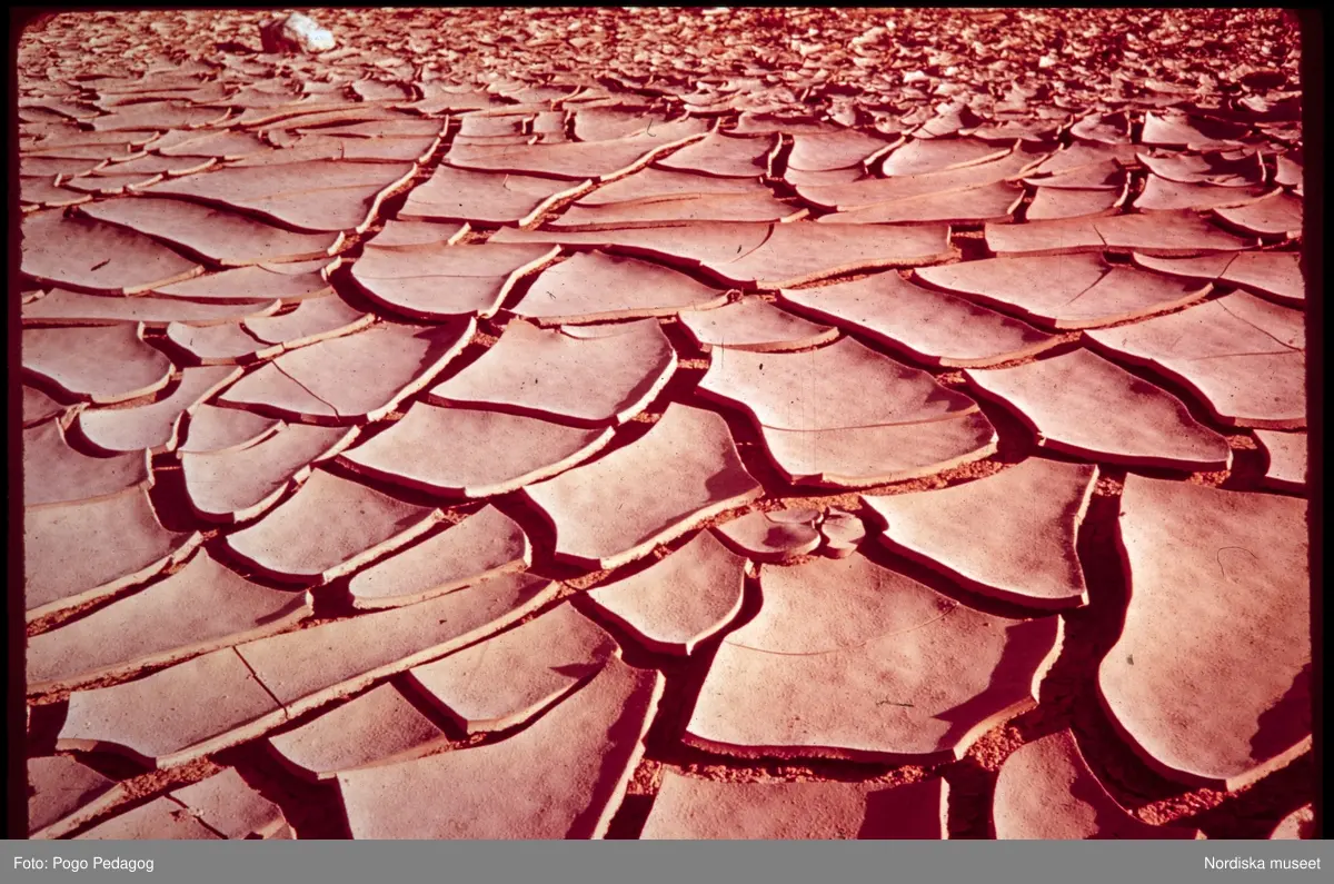 Torka och miljöförstöring