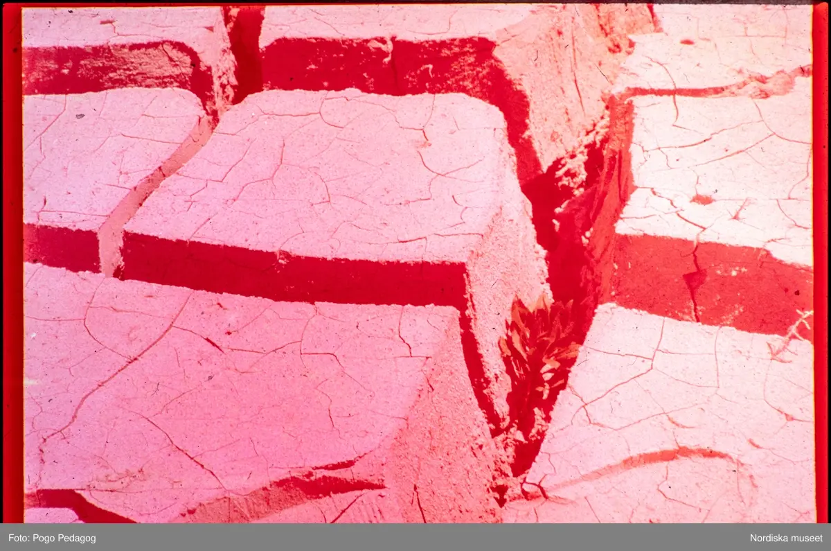 Torka och miljöförstöring