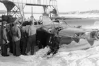 Flygtekniker samlade vid bärgat flygplan B 18 på kajen i Härnösands hamn efter nödlandning på isen den 10 februari 1946. Motorerna har demonterats. I bakgrunden syns en lyftkran som användes vid bärgningen.