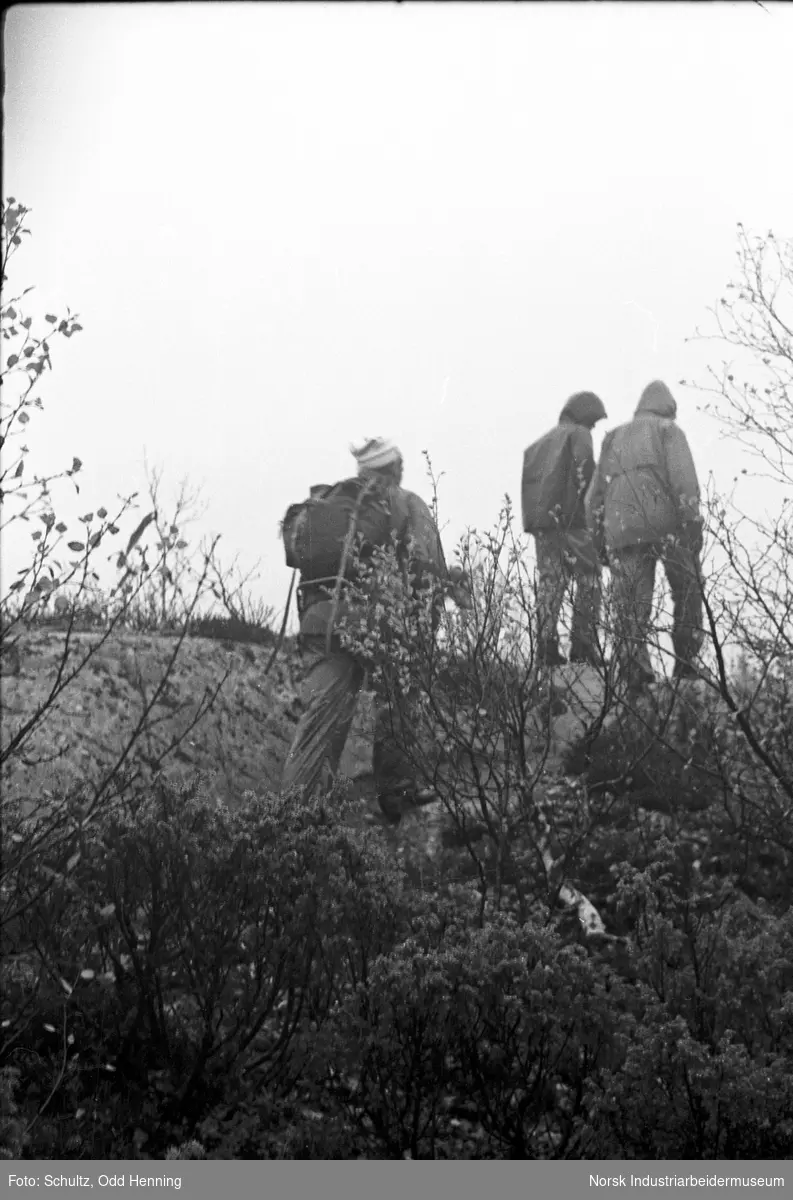 Hydromarsjen 1981. En familie går etter sti.