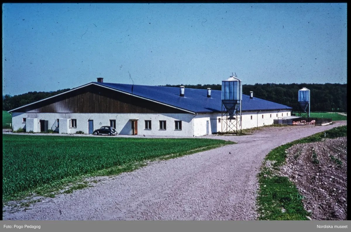 Lantbruk
