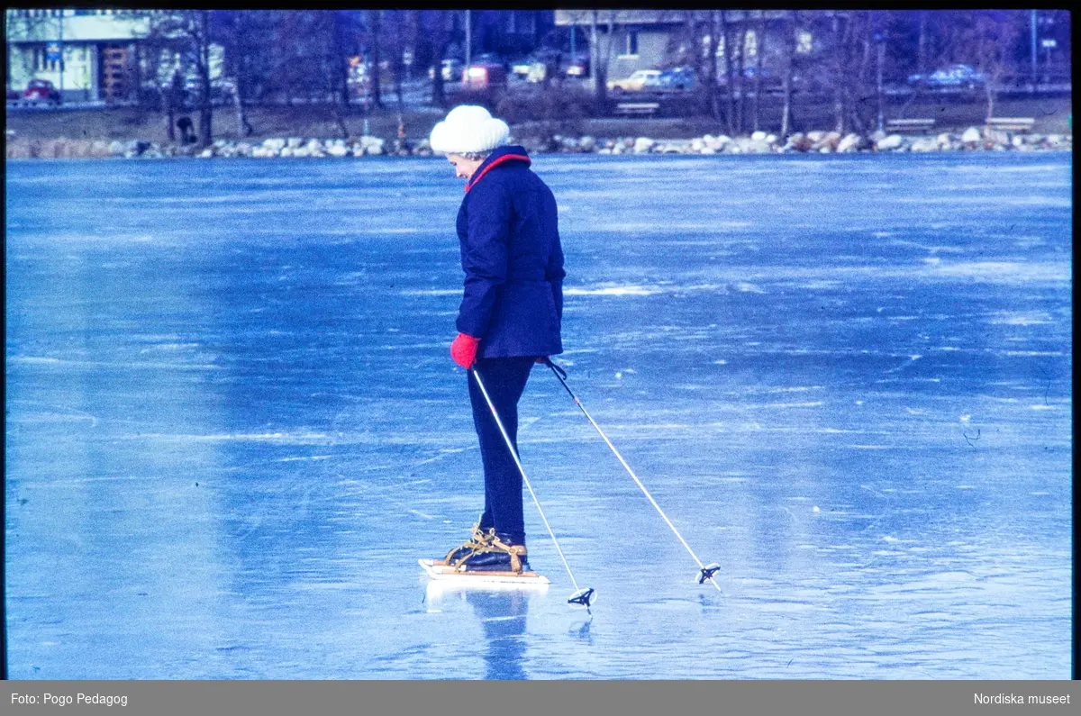 Friluftsliv, vinteraktiviteter