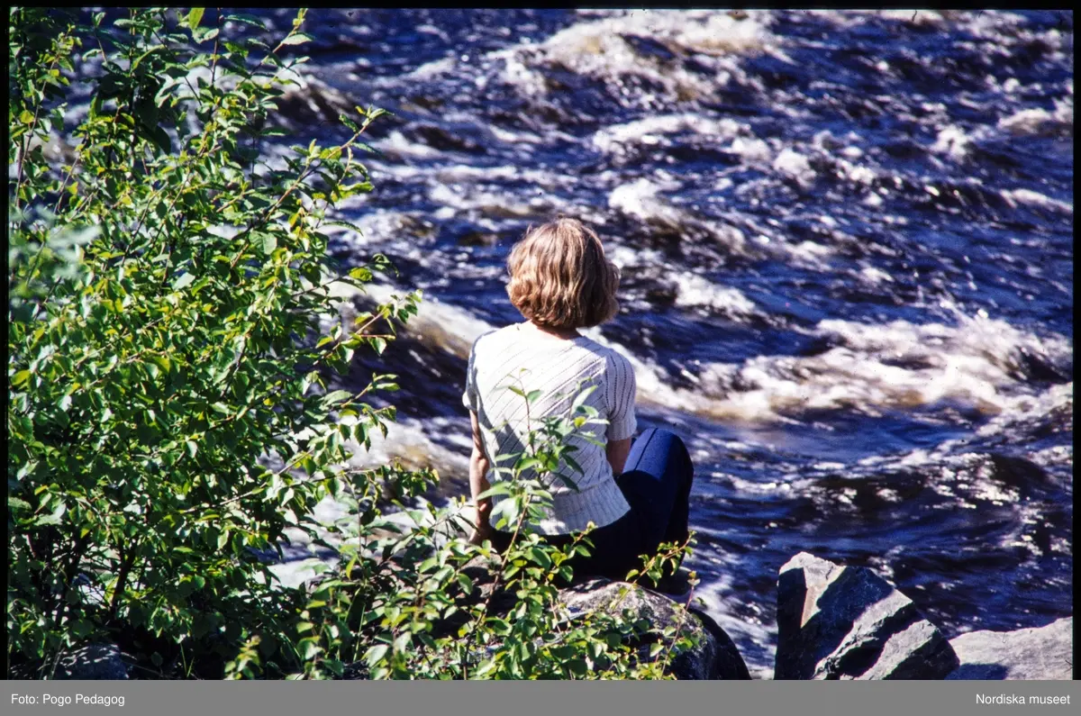 Friluftsliv, vandring och camping