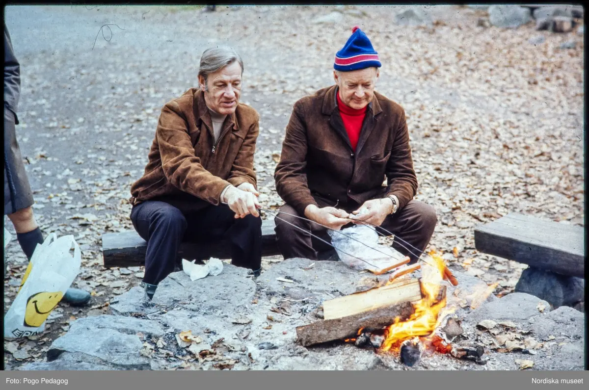 Friluftsliv, vandring och camping