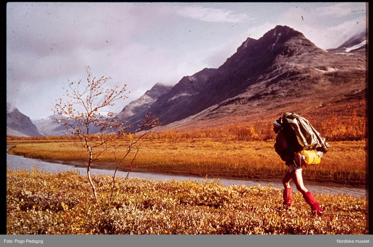 Friluftsliv, vandring och camping