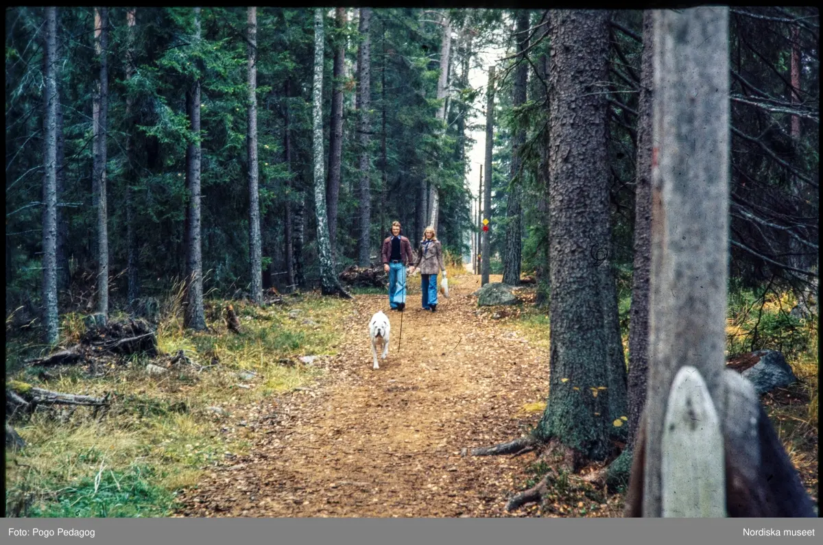 Nöjesliv, fritidsaktivitet