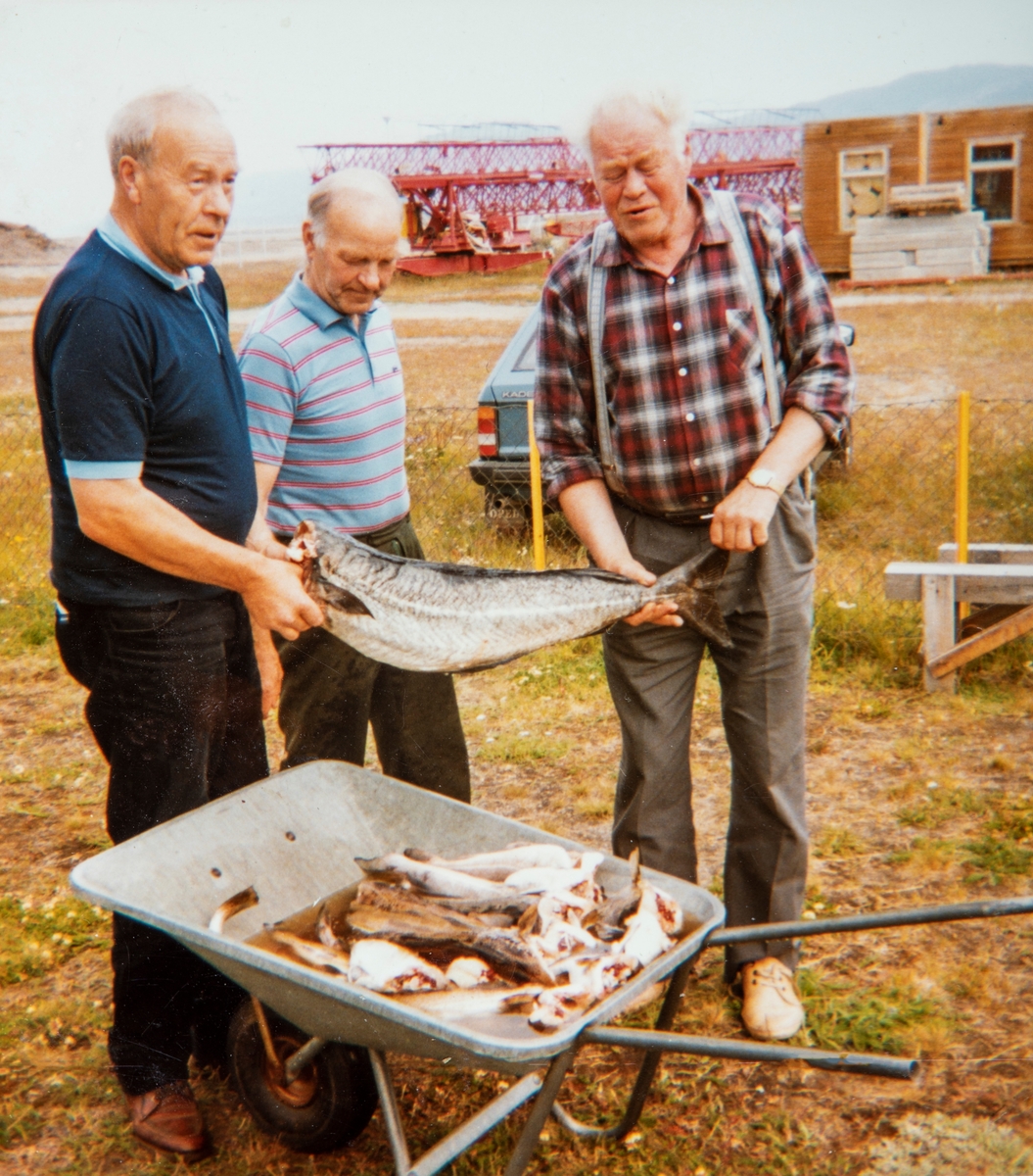 F.v. Reidar Nilsen 1919-1990, Einar Nilsen 1923-1991 og Mikkal Roksvoll. Bildet er tatt på Elvebakken i Alta etter fisketur på Altafjorden.