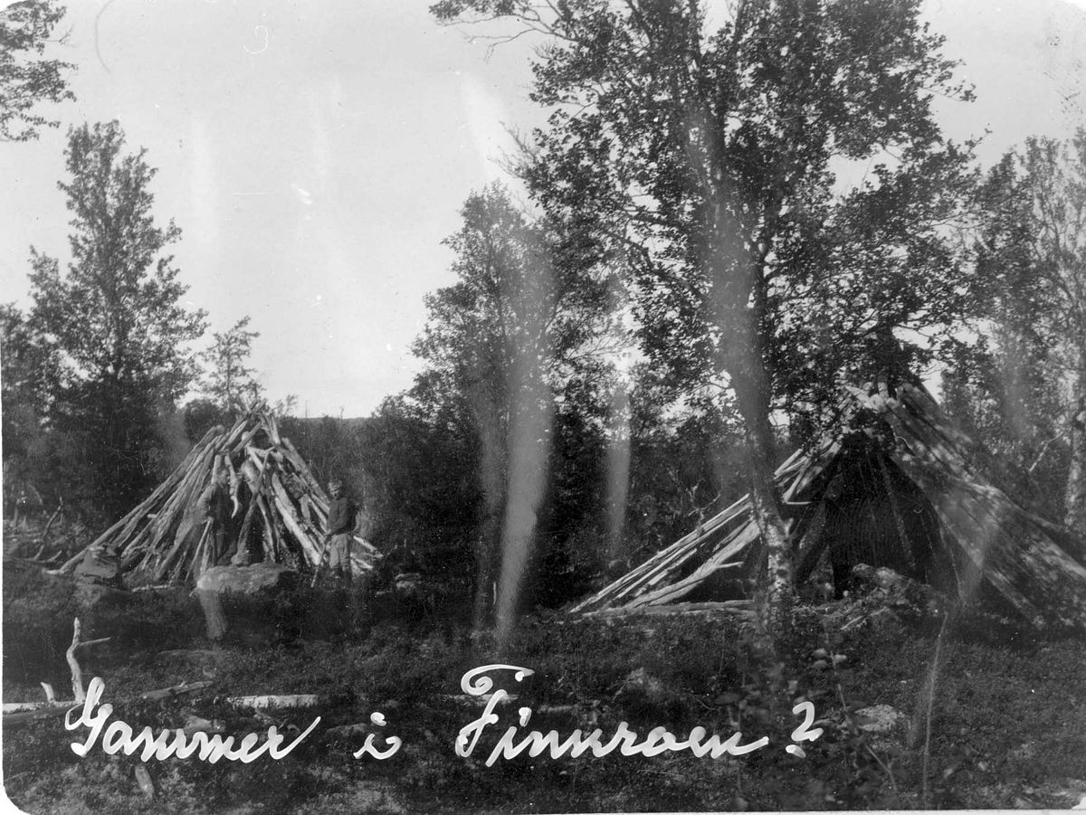 Gammer Finnroa
