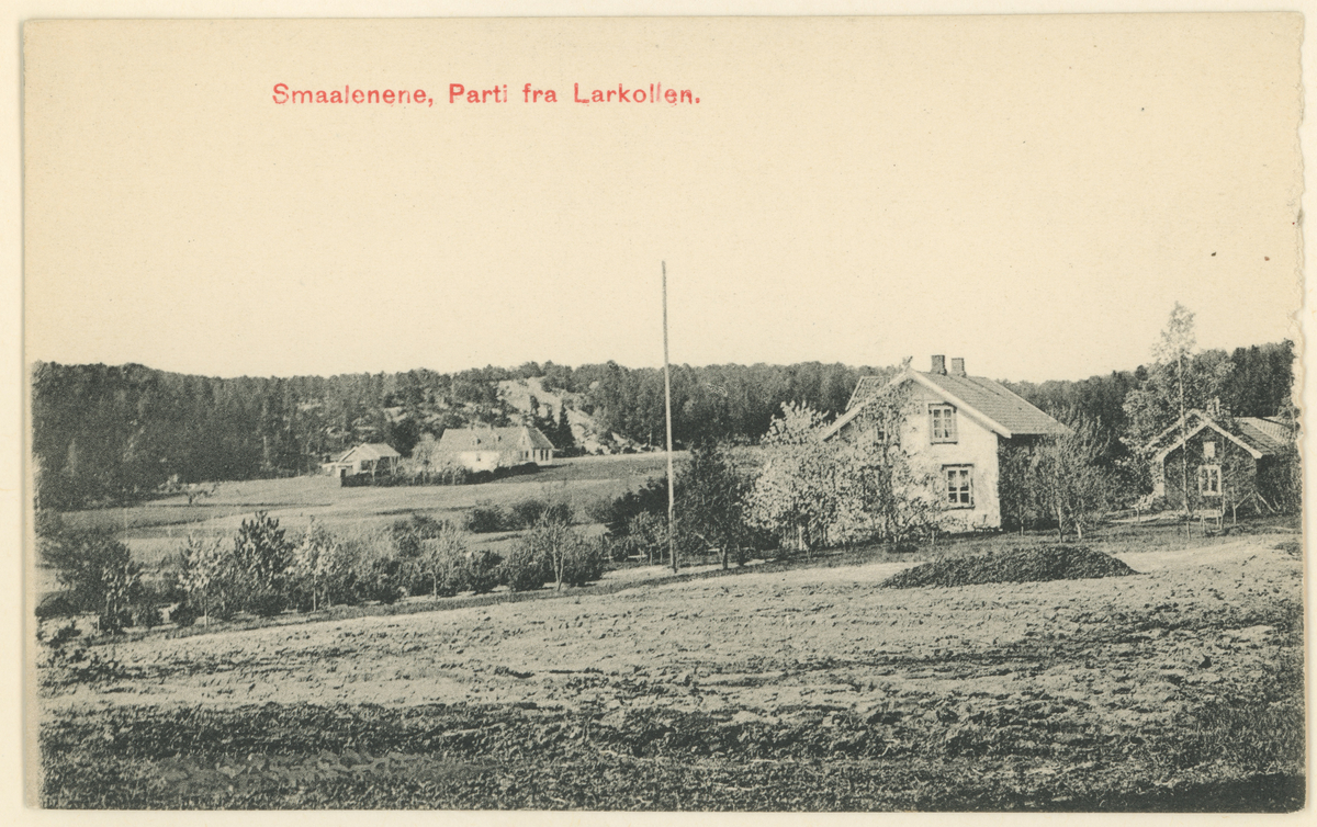 Larkollen, fire postkort, ca. 1910.

Bilde 1:
"Røeds Hotel, Larkollen".

Bilde 2:
"Smaalenene. Botner, Rygge."

Bilde 3:
"Smaalenene, Parti fra Larkollen."

Bilde 4:
"Parti ved Haagensens Landhandleri, Larkollen."