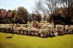 Lekplats i Linnéparken, 1956. Till vänster syns Björklundska gården.