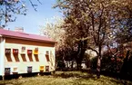 Biodling på Staglaberget i Växjö, 1956. Sundbergs.