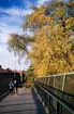 Gamla järnvägsbron, norrut, mot Klostergatan. Växjö, 1959.