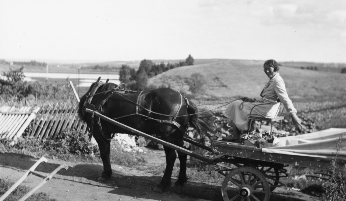  Bilde fra Børstadgård, Børstad Gård, 