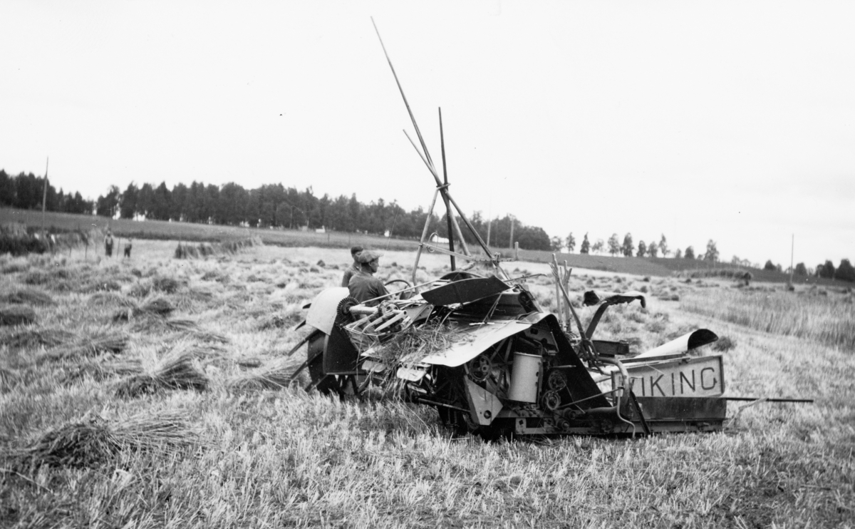Hamar, Børstad Gård, innhøsting, slåttonn, Case jerntraktor trekker en Viking slåmaskin med avlegger,