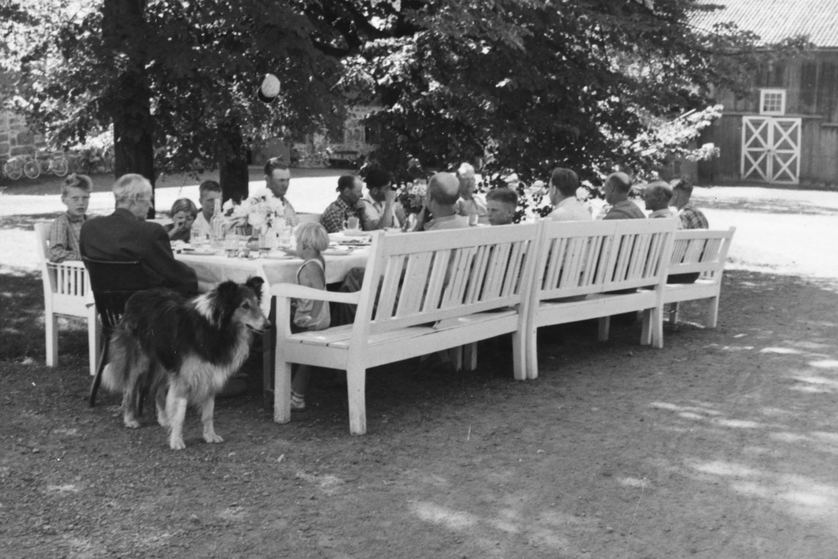 Hamar, Børstad Gård, innhøsting, slåttonn, det serveres mat ute på inntunet for arbeiderne,