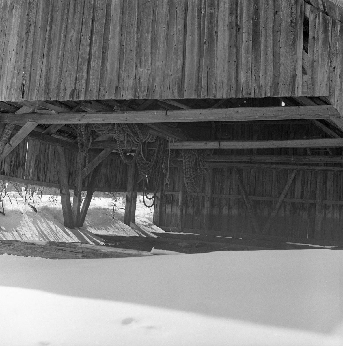 Detalj fra Tverrena fellesfløtningsforenings spillflåtenaust ved Nordre Ulvsjøen i Enavassdraget i Trysil, fotografert i 1968, før bygningen ble flyttet fra sine opprinnelige tufter til Norsk Skogbruksmuseums friluftsmuseum på Prestøya i Elverum. Fotografiet er tatt mot den åpne gavlveggen som vendte mot sjøen. Vi ser følgelig inn i bygningen, der spillflåten lå på golvet, mens årer, trosser og en del annet materiell lå på takstolene.  Spillflåtenaustet er en 8,1 meter lang og 5,7 meter bred bindingsverkskonstruksjon. Mønehøyden er 405 centimeter, rafthøyden 190 centimeter. Bygningen kviler på ei rektangulær svillramme som kviler på laftesteiner. Begge langveggene har fem 160 centimeter høye bærende stolper (4” X 4”) inkludert hjørnestolpene. Midt på langveggene er konstruksjonen også avstivet med skråbånd fra svillene mot raftbjelkene. Raftbjelken på den bakre gavlveggen har to stendere i tillegg til de nevnte hjørnestolpene. Her finnes det dessuten en V-formet avstiving under den sentrale delen av raftet. Spillflåtenaustet er en luftig og åpen bygningskonstruksjon. Bare den «indre» eller «bakre» gavlveggen er helkledd med vertikalstilt kledning, over- og underliggerpanel. Langveggene har samme kledningstype, men bare 85 centimeter fra raftbjelkene og nedover. Under dette nivået er sideveggene åpne. Her er det med andre ord ei 85 centimeter høy sone over svillramma er helt åpen. Den «fremre» gavlveggen er kun bordkledd røstet. Den nedre delen av denne veggflata er åpen med en bredde på 5,38 meter og høyde på 1,73 meter. Her er det ingen bærende bjelker mellom hjørnestolpene. Dette gjorde det overkommelig å få spillflåten inn og ut. Den er 7,5 meter lang, 4,15 meter bred og 1,4 meter høy. Spillflåtenaustet har sperretak med ni sperrepar som støttes av en sideås på hver takhalvdel. Sideåsene bæres av tre underliggende takstoler, som er plassert over bærebjelkene på langveggene. Takflatene måler 8,5 X 3,9 meter. De er tekket med takflis som er spikret på lekter. 

I 1969 dokumenterte konservator Tore Fossum fra Norsk Skogbruksmuseum i 1969 dokumenterte det man da visste ville bli den siste fløtingssesongen i Enavassdraget og intervjuet veteranene som sto for fløtinga. I disse samtalene ble han fortalt at det ble innført en ny spillflåtetype på Ulvsjøen i 1908. Forbildet var de flåtene som da ble brukt på Osensjøen. Fossum fikk vite at spillflåtene fra starten av ble vinterlagret under åpen himmel, men at dette innebar at de fikk kort levetid. Fløterne fortalte ikke, og visste kanskje ikke eksakt, når dette naustet ble reist. Bygningen sto like ved strandlinja, og ikke høyere oppe enn at vannspeilet gikk inn i bygningen når dammen ved Ulvsjøens utløp ble stengt ved fløtingssesongens start. Dermed kunne fløterne la vannet bære spillflåten inn og ut av naustet når sjøfløtinga skulle påbegynnes og avsluttes.  Utenom denne perioden sto dammen åpen, slik at både naustet og flåten da befant seg på tørr grunn.

I 1970 fikk Norsk Skogbruksmuseum spillflåtenaustet fra Ulvsjøen i Trysil som gave fra Tverrena Fellesfløtningsforening.  Naustet ble demontert og komponentene ble transportert til Elverum samme år, slik at gjenoppføringsarbeidet kunne starte påfølgende sommersesong. Planene, som ble realisert, var å stille ut flåten i naustet den hadde stått i mens denne måten å fløte på ennå ble praktisert på denne lille sjøen. Spillflåtenaustet ble gjenreist på Prestøya i juli og august 1971.  

Jfr. Norsk skogmuseums bygningsdatabase, SJF-B.0025.