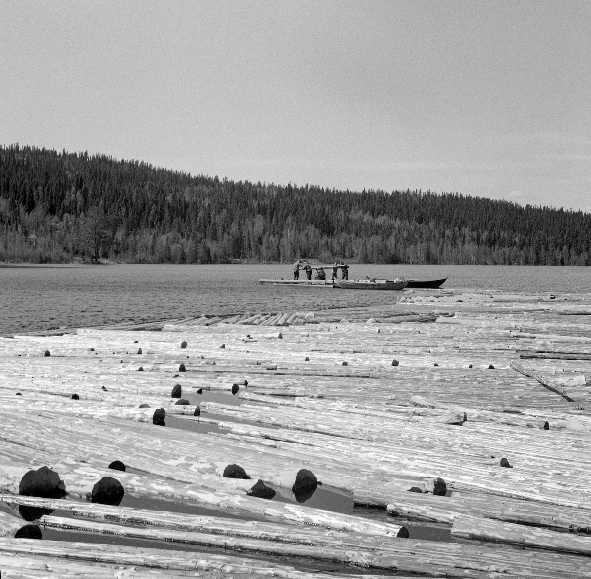 Tømmerbom og spillflåte på Nordre Ulvsjøen i Vestre Trysil i Hedmark sommeren 1969. Tømmreet ble samlet i slike bommer - innenfor i en ring av sammenkjedete tømmerstokker - som skulle trekkes bak den nevnte flåten, som måler 7,5 X 4,1 meter. Slike flåter ble lagd av fint grantømmer, som ble holdt sammen av ei ramme langs ytterkantene. På flåtens midtpunkt var det festet en vertikalstilt tresylinder - «tynna» -  med nedfelte hakk og oppstikkende «ører», noe som gav feste for to stenger som ble krysslagt på toppen av tynna. På tynna var det viklet grovt tau, ei «trosse», som var festet i et kraftig jernanker - «krabba». Når fløtinga kom i gang ble krabba rodd framover i sjøen i en lettbåt, så langt trossa rakk (på Ulvsjøne opptil 200 meter). Der ble den sluppet ned på botnen, hvor den festet seg på den steinete sjøbotnen. Dermed kunne karene begynne å «spille» flåten og en bakenforliggende tømmerbom mot krabba ved å gå rundt på flåten og skyve stengene framfor seg, slik at trossa viklet seg opp på tynna. Denne prosessn ble gjentatt til flåten og tømmeret hadde nådd sjøenes utløp. Fløterne som arbeidet på flåten da dette fotografiet ble tatt var Magne Neby, Torfinn Bakken, Johan Sjøli og Halvor Sjøli.