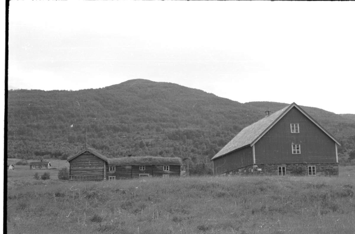 Bjørkåsen - Hemmi