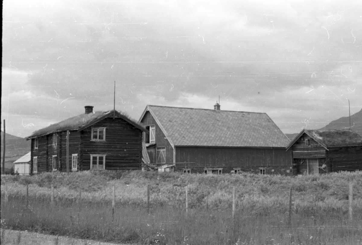 Bjørkåsen - Hemmi