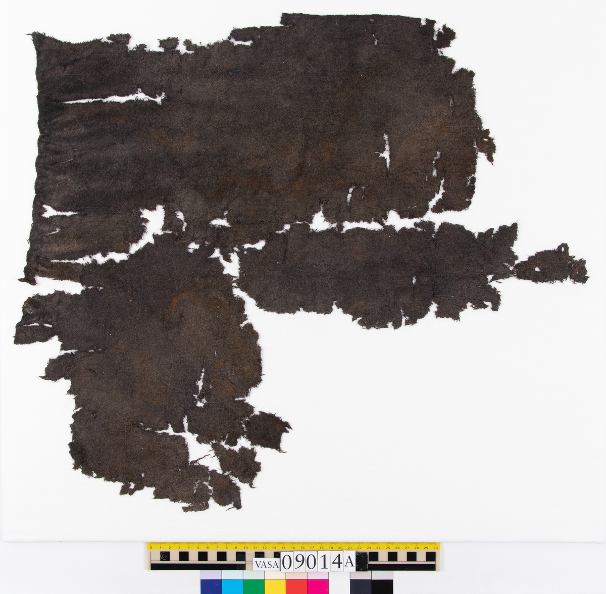 Textildokumentation 2018
Textil, fyndnumret består av mer än 50 st fragment uppdelade på 09014a-h.
Kontextgrupp ÖB20 (övriga fyndnummer i gruppen: 07732, 07762, 09228)
Relaterade fynd: Kontextgrupp ÖB17 och ÖB 18.
.
Fnr 09014a Typnr ÖB20.3:1
Sammanfattning - Ett textilfragment av ull vävt i tuskaft. Färgen är nu mörkbrun, fibrerna varierar i färg vilket tyder på att det är naturfärgad ull. Fibrerna är i vissa partier skadade på ytan och ser därför vita ut. Väven är tunn, jämn och fin och har inga spår av ytbehandling. Fragmentet har tre tillskurna kanter, två av dessa har spår av tre olika sömmar (söm 1: kvicksöm/förstygn). Formen tyder på att det är ett skört till en tröja. Andra delar: Jämför med 07726. 
.
Fnr 09014a Typnr ÖB20.4:1
Sammanfattning - Ett textilfragment av ull vävt i tuskaft. Färgen är nu mörkbrun, originalfärg okänd. I mikroskop ser tyget blåsvart ut. Väven är mycket jämn och slät. I sömsmånen på sida A finns bevarad lugg, på sida B är luggen så välbevarad att bindningen inte syns. Fragmentet har två tillskurna kanter med hål och avtryck av sömmar, även trådrester finns (söm 1: kaststygn - fälld kant, söm 2: ev förstygn - sammanfogande, söm 3: kaststygn - fälld kant). På sida B finns blåfärgad ull och silkesfibrer. 
.
Fnr 09014a Typnr ÖB20.5:1
Sammanfattning - Ett textilfragment av ull vävt i tuskaft. Väven är jämn och tät. En av kanterna är troligen tillskuren, inga sömrester finns. Tyget har inga spår av ytbehandling. På ytan finns en del bastfibrer. Relaterade fynd: Vävens struktur liknar ÖB20.4:1 men tygerna har ändå olika karaktär och detta fragment saknar lugg. 
.
Fnr 09014a Typnr ÖB20.6:1
Sammanfattning - Ett textilfragment av ull vävt i tuskaft. Färgen är nu brun, originalfärg är okänd men möjligen naturfärgad, fibrerna är mycket släta och varierar i färg från brun till nästan svart. Fragmentet är litet och mycket skadat, endast några få bindepunkter återstår vilket försvårar mätningar. 
.
Fnr 09014a Typnr ÖB20.7:1
Sammanfattning - Ett textilfragment av  ull vävt i tuskaft. Färgen är svartbrun, originalfärg okänd men möjligen naturfärgad då fibrernas färg varierar. Inga tydliga spår av ytbehandling. Väven är jämn men garnet är hårt spunnet vilket ger tyget en kypertkaraktär (falsk kypert). Fragmentet har inga tillskurna kanter eller sömmar. På ytan finns enstaka vita silkesfibrer.
.
Fnr 09014a Typnr ÖB20.8:1
Sammanfattning - Ett textilfragment av ull. Fragmentet är mycket litet och dåligt bevarat så bindningen är svår att avgöra, troligen 2/2 kypert. Färgen är svart, möjligen naturfärgad ull då fibrerna varierar något i färg. Tyget har ingen synlig ytbehandling. Garnet är hårt spunnet vilket ger tyget en speciell karaktär. 
.
Fnr 09014b Typnr ÖB17.1:8-11
Sammanfattning - Fyra textilfragment av ull vävt i tuskaft. Färgen är mörkbrun, originalfärg okänd men den bruna tonen slår mot röd. Tre av fragmenten har tillskurna kanter och spår av sömmar. Andra delar, som troligen kommer från samma tröja, är fnr 03261a och d, 09014h samt 09228a. 
Fragment ÖB17.1:9 - Fragmentet har två tillskurna kanter varav den ena har spår av en söm. Fragmentet är troligen sidostycket till en tröja. Den tillskurna kanten har då varit monterad mot tröjans bakstycke och bör ha hört samman med fyndnummer 03261d, vilket är ett bakstycke till en tröja.
Fragment ÖB17.1:10 - Fragmentet är mycket skadat men är troligen av typen ÖB17.1. Formen är densamma som för del av fragment ÖB17.1:9 och kan därför vara en dubblering av detsamma, alternativt det motstående sidostycket.
.
Fnr 09014c Typnr ÖB20.9:1-19
Sammanfattning - Nitton textilfragment av ull vävt i tuskaft. Färgen är brun, originalfärg okänd. Sida B har en kort tät lugg som döljer bindningen. På sida A finns ingen lugg och bindningen är synlig. Fjorton av fragmenten har tillskurna kanter och sömmar. Tre av fragmenten har sydda knapphål. Flera fragment är dräktdelar, till exempel finns en fragmentarisk krage. På ytan på flertalet fragment finns fibrer i flera klara färger, till exempel rosa, röd och blå. Vita fibrer finns i stor mängd, kan vara recenta.

Fragment ÖB20.9:1 - Fragmentet har flera tillskurna kanter med avtryck och hål efter olika typer av sömmar (söm 1: ev. sammanfogande, söm 2: kaststygn - fåll, söm 3: kaststygn - sammanfogande, söm 4: kaststygn - sammanfogande, söm 5: osäkert, söm 6: osäkert), trådrester finns. Kanterna och sömmarnas karaktär gör att sida A bedöms vara plaggets rätsida/utsida. Några hål som ej är stygnhål men kan vara original finns. I fragmentet sitter fast två stycken silkestrådar (söm 7: silkestråd med knut, fäst i tyget, söm 8:  silkestråd med ögla, fäst i tyget). Det är samma typ av tråd som knapphålen på fragment ÖB20.9:2 är sydda med. På sida A finns ett område med extra mycket korrosion och även en långsmal vitaktig avlagring.

Fragment ÖB20.9:2 - Fragmentet har inga bevarade tillskurna kanter, dock finns en någorlunda välbevarad rad med knapphål. Samtliga knapphål är trasiga i ena sidan så deras ursprungliga storlek går ej att avgöra. Knapphålen är sydda med knapphålsstygn i silkestråd och sitter med 13-15 mm mellanrum (c/c mått). Det tvärställda tränsen består av ca 10 stygn och syns ej på sida B, tränsens knutar sitter vända från knapphålet. På sida B anas rester av bastfiber under knapphålsstygnen, troligen från en dubblering av tyget eller ett foder. 

Fragment ÖB20.9:3 - Fragmentet har fyra stycken knapphål, varav ett är helt. Knapphålen är skurna på skrådden. Eventuellt finns spår av en söm längs en del av kanten. Knapphålsstygn och trådrester är mycket fragmentariska.

Fragment ÖB20.9:4 - Fragmentet har tre stycken knapphål.  Knapphålen är sydda med knapphålsstygn i silkestråd. Knapphålens längd är 19-20 mm och de sitter med 18-22 mm mellanrum (c/c mått). Eventuellt är fragmentets ena kant en sömsmån, kan ha varit monterad mellan andra tyglager (kanten har avvikande färg). Under knapphålsstygnen på sida B finns rester av annat material, eventuellt bastfiber. Bastfibrer finns också utspridda över ytan på sida B, kan vara rester av en dubblering till tyget eller ett foder, se fragment 9:2. På sida A finns avlagringar och korrosion. 

Fragment ÖB20.9:5 - Fragmentet har bristningar i tyget som ser ut som knapphål, dock finns inga rester av stygnhål eller tråd. Fragmentets ena kant är troligen en sömsmån, kan ha varit monterad mellan andra tyglager (kanten har avvikande färg). Enstaka spår av söm och tråd finns längs kanten (söm 1), dessa är mycket otydliga. På fragmentets andra (mycket trasiga) kant finns ett mycket tydligt stygnhål. Fragment 9:4 och 9:5 ser ut att kunna höra ihop, dock går trådsystemen åt olika håll så det är inte fallet.

Fragment 9:6-9 - Till det stora fragmentet 9:6 hör det lilla lösa fragmentet 9:7. I fragment 9:6 sitter två fragment fastsydda, 9:8 och 9:9. De sammansydda fragmenten har tre tillskurna kanter och spår av minst fem sömmar (söm 1: kaststygn, söm 2: förstygn el. liknande - sammanfogande, söm 3: kaststygn, söm 4: sammanfogande, fäster ihop 9:6 med 9:8 och 9:9, söm 5: två stygnhål), trådrester finns. Det är troligt att 9:8 och 9:9 är delar av samma tillskurna bit, och att den utgjort en dubblering till 9:6 (inklusive 9:7). Den tillskurna formen ser ut att vara en krage. Fragmentet skulle då vara en halv krage, bevarad från framkant till nästan mitt bak. På sida A finns en beläggning på delar av ytan. På sida B finns en mängd fibrer i klara färger: blå, vit, rosa, tegelröd, orange, karminröd, grön, mörkgul och grå. fibrerna ligger ytligt med nästan samtliga sitter delvis fast i tygets lugg eller har en eller båda ändar nere i vävens bindning. Fibrerna bör därför vara ursprungliga. Sida A har en mindre mängd av nämnda fibrer, mest förekommande på ytan av fragment 9:8 och 9:9.

Fragment ÖB20.9:10 - Fragmentet har två tillskurna kanter. Dessa är invikta mot sida B som en 6-7 mm bred fåll som är fastsydd med kaststygn, trådrester finns (söm 1 och 2). Fragmentet kan vara ett skört till en tröja. På båda sidors yta finns fibrer i klara färger: grå, ljusblå, orange, orangebrun, vitgul, blå svart, vit, röd, korallröd och rosa.

Fragment ÖB20.9:11 - Fragmentet har tre tillskurna kanter med sömmar. Två av kanterna är invikta och fastsydda mot sida B, som fållar (söm1: kaststygn - fåll, söm 2: kaststygn - fåll). Stygnen går ej igenom till sida A men sömmen syns som bucklor i fragmentets yta. Söm 3 längs den tredje kanten har troligen varit en sammanfogande söm sydd med kaststygn. Stygn och trådrester finns bevarade från samtliga sömmar. Under fållen vid söm 1 finns ett litet fragment av en annan textiltyp. Troligen ursprungligen en dubblering eller liknande. Fragmentet är ca 10x5 mm stort och har fått typnummer ÖB20.16:1. På ytan på sida B finns enstaka bastfibrer.

Fragment ÖB20.9:12 - Fragmentet har två tillskurna kanter med sömmar (söm 1: ev kaststygn, söm 2: osäker). Vid söm 2 är sömsmånen vikt mot sida B. Vid söm 1 är kanten inte vikt. Fragmentet har samma form som ÖB20.9:6, "kragen".

Fragment ÖB20.9:13 - Fragmentet har två tillskurna kanter med sömmar (söm1: sammanfogande, söm 2: osäkert). De två övriga kanterna är eventuellt också de tillskurna men spår av eventuella sömmar är för otydliga. Enstaka fibrer med klara färger (rosa, blå, vit) finns på båda sidor, fler på sida B. Vid söm 2 finns på ett ställe en fiberknippa som kommer upp ur vävens bindning, kan vara rester av en tråd och är eventuellt halsplat silke. 

Fragment ÖB20.9:14 - Fragmentet har en tillskuren kant med söm (söm1: ev sammanfogande). I stygnhålen finns rester av tråd.
.
Fnr 09014c Typnr ÖB20.10:1
Sammanfattning - Ett textilfragment av ull vävt i tuskaft. Färgen är brun, originalfärg okänd. Sida B har en kort och tät lugg, bindningen syns bara på sida A. Längs ena kanten finns tre stycken tydliga hål. Hålen är gjorda med ett verktyg som skär av fibrerna snarare än tränger undan dem.
.
Fnr 09014c Typnr ÖB20.16:1
Sammanfattning - Fragmentet är mycket litet och sitter inuti den invikta fållen på fragment 09014c ÖB20.9:11, det sticker bara fram någon millimeter. Fragmentet är mycket skört. Bevarandegrad och storlek gör mätningar svåra. Det är olika garn i trs 1 och trs 2. Sida B är täckt av en lugg, på sida A syns bindningen, om än fragmentariskt.
.
Fnr 09014d Typnr ÖB18.16:2-8
Ej dokumenterad
.
Fnr 09014d Typnr ÖB20.11:1-2
Ej dokumenterad
.
Fnr 09014e Typnr ÖB20.12:1-4
Sammanfattning - Fyra textilfragment av ull vävt i tuskaft. Färgen är brun med inslag av täckhårsfibrer i en mörkare brun färg, originalfärg okänd. Fragmenten är mycket fragmentariska med trs 1 bättre bevarat än trs 2. Enbart på en del av fragment ÖB20.12:1 finns trs 2 samt bindningen bevarad. Utspridda över tygets yta finns grova bastfibrer samt korrosionsfläckar. 
.
Fnr 09014f Typnr ÖB20.13:1
Sammanfattning - Ett textilfragment av ull vävt tuskaft. Färgen är mörkbrun, fibrerna varierar mellan ljus och mörk brun. Originalfärg okänd, möjligen naturfärgad ull. Garnet är hårt spunnet vilket ger väven en särskild karaktär, sida A har en mer strukturerad ytan än sida B. Fragmentet har inga tillskurna kanter. På sida A finns enstaka röda och gulgröna silkesfibrer, samt bastfibrer. På sida B finns enstaka blå, vita och rosa silkesfibrer.
.
Fnr 09014g Typnr ÖB20.14:1-3
Sammanfattning - Tre textilfragment av ull och bastfiber vävt i tuskaft. Färgen är beige för bastfibern (trs 1) och svartblå för ullen (trs 2). Trs 2 är mycker grövre än trs 1. Trs 1 är nästan helt försvunnet. Två av fragmenten har tillskurna kanter och ett har spår av en sömsmån. På ytan av fragmenten finns en stor mängd bastfiber samt en vit/rosa tuss med silke. På fragment 14:2 finns några intensivt blå ullfibrer.
.
Fnr 09014h Typnr ÖB17.1:12-13
Sammanfattning - Två textilfragment av ull vävt i tuskaft. Färgen är brun, originalfärg okänd. Det större fragmentet är tillskuret och har spår av sömmar. Fragmentet är en ensömsärm med sömmen placerad mitt bak på ärmen. På ytan finns stora rostfläckar. Andra delar: Hör troligen (trots färgskillnad) till skelettet Beatas tröja, se fnr 03261a-d, 09228a, 09014b och h.