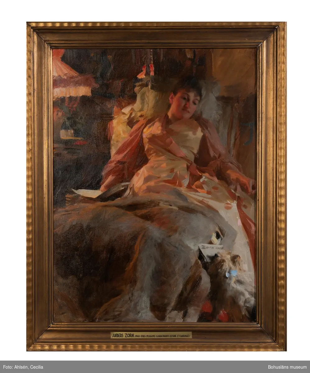 Madame Clara Rikoff; bankirhustru, Paris.
Ljusstudie utförd i Paris av Anders Zorn år 1890
Madame Rikoff i hemmiljö, halvliggande i en stoppad möbel i skenet från en bordsarmatur med glödlampsljus som står på ett bord bredvid henne. Hon är klädd i en ljus sidenklänning med gulröda prickar och gulröda ärmar och detaljer. I förgrunden ligger en päls av något slag. I sin högra hand håller hon papper (som hon kanske läst) och nere i höger hörn kommer en liten sällskapshund med blå rosett knuten i nackpälsen fram till henne bärande ett brev eller en tidning i munnen. Zorn har signerat och daterat dokumentet som hunden förmedlar.