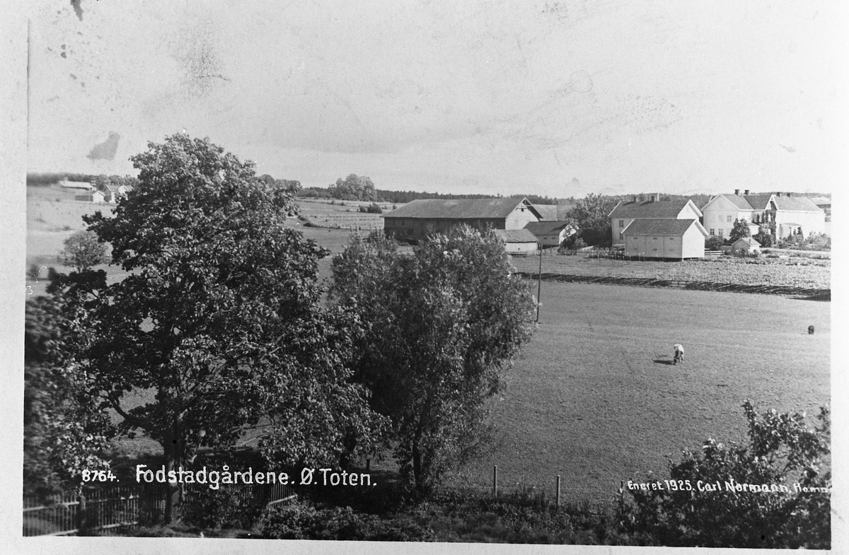 Fodstad gårdene i Østre Toten sett fra syd-vest, ca. 1925. Låven til venstre brant i 1927. Alle krøttera brant inne. Låven hadde brent en gang før.