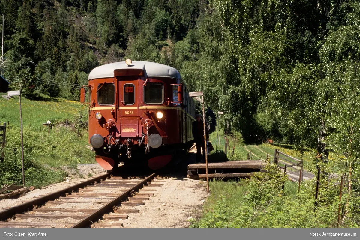 Dieselmotorvogn BM 86 25 med persontog til Kongsberg på Skagsoset private holdeplass på Numedalsbanen