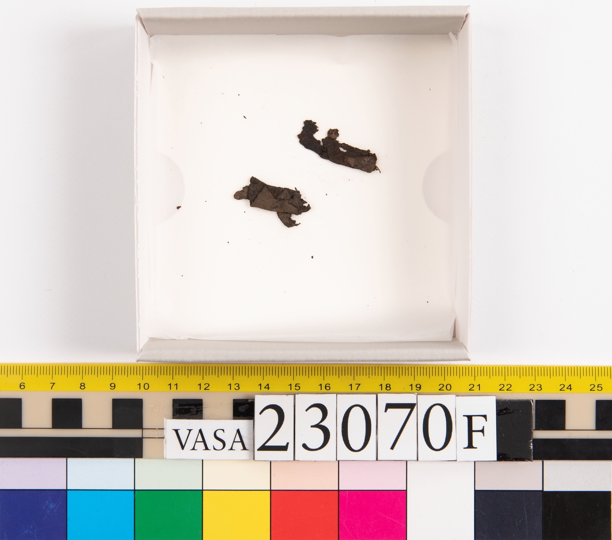 Sko.
Inuti skorna hittades även fragment från olika textilier som ursprungligen varit ett par strumpor. Idag sitter ett stickat fragment av ull fast i vänsterskon (23070) med avigsidan uppåt. I fyndet finns även en mängd lösa stickade fragment som idag är mycket korroderade och vissa helt mineraliserade av järn vilket har gjort textilen stenhård och därmed oerhört skör (23070a-c). Utifrån minskningar som några små fragment har så har det varit möjligt att rekonstruera strumpans tå. Genom att pussla ihop fragmenten som ursprungligen har suttit ihop har det på så vis gått att avgöra hur strumpans tå har varit konstruerad. Då textilen är så fragmentarisk är det inte möjligt att avgöra hur resten av strumpan har sett ut eller varit konstruerad. Däremot så finns det fragment av ett kypertvävt tyg av ull som på vissa ställen ligger dubbelt med det stickade 23070c). Ett av dessa fragment har stelnat i formen så som den suttit på fotens främre del inuti skon. Detta fragment täcker delvis det stickade tyget och har dessutom spår av kaststygn längs en kant. Så som det vävda tyget är placerat på det stickade tyget pekar på att man använt det som lagningslappar till sina stickade strumpor. 
I fyndet finns det även korroderade järnklumpar, ett tuskaftsvävt tyg av ull och rester av ett grovt bastfibergarn och två mindre läderfragment (23070d-f). Det är möjligt att även dessa har tillhört strumpan och/eller skon.

För mer detaljerad information från textildokumentationen (år 2022) se länkade filer.

Skodokumentation 2022:
Ovanläder. Tillverkad i getskinn av god kvalitet. Hör ihop med fyndnummer 23069 (Yngves skor). Tillverkades på en rak läst och bars på vänster fot. Inga dekorationer Det finns stygnhål som visar att det funnits invändiga förstärkningar (men förstärkningslappen saknas). Det finns delaminering men inga lagningar.
För mer information, se Länkade filer: Uppritning

Text in english:
This is the upper of a shoe of more “extreme fashion”, made of goatskin leather of good quality, probably made on a straight last and worn of the left foot, with no decorative features. The upper couples with 23069, together composing Yngve’s shoes. There are internal reinforcements missing from the upper and delamination, there are no repairs.
For more information, go to Länkade filer: Uppritning