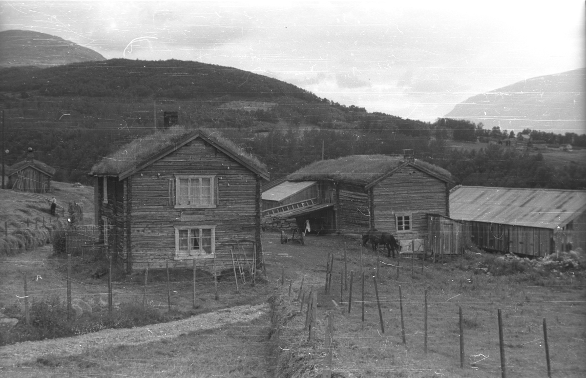 Gårdsanlegg
Bolighus