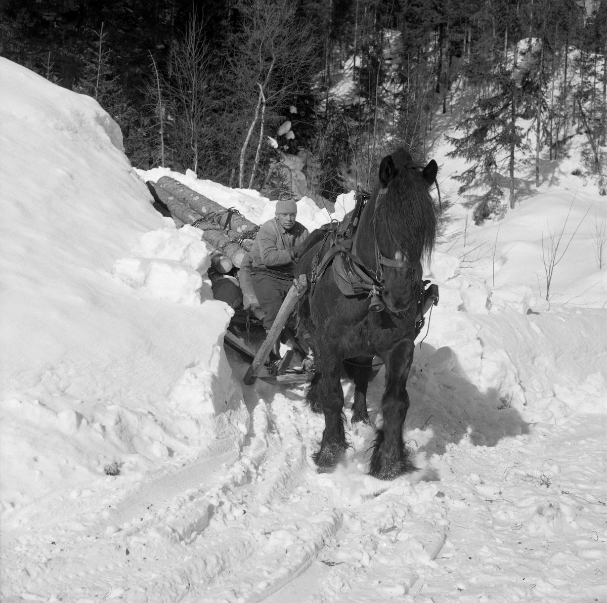 Ottar Flodberg (1916-2002), fotografert under tømmerkjøring i skogene på vestsida av Trysilelva, nord for den sentrale delen av grenda Jordet. Her kjørte Flodberg et tømmerlass med ubarket granvirke på en «bukk» - en kort slede - som antakelig ble valgt på dette stedet fordi terrenget hadde en del bratte skråninger, der det kunne komme vel med i utforbakkene at tømmeret - kanskje med en bremsekjetting på undersida - skrubbet litt mot det snødekte underlaget. Her kan det se ut til at det var lagt en del arbeid i å måke snøskavler ut av tømmervegen. Kjørekaren Ottar Flodberg satt fremst på lasset med tømmene i hendene. Han hadde vadmelsbukser på beina, islender med overtrekt dongerijakke på overkroppen og topplue på hodet.