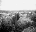 Utsikt över Jönköping från Stadsparken.