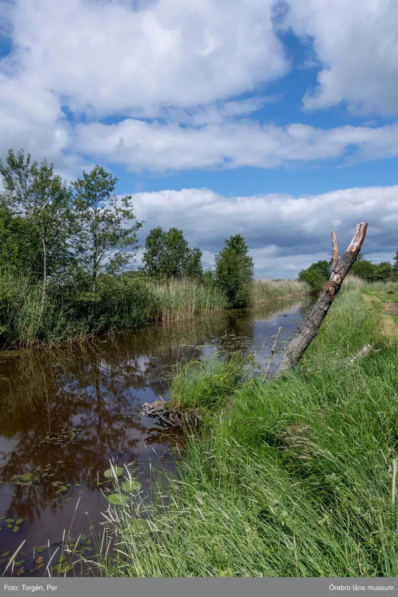 Äverstaån mynning vid Gäddeby.