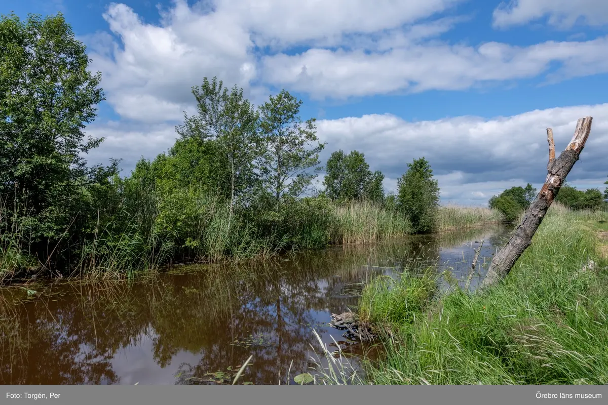 Äverstaån mynning vid Gäddeby.