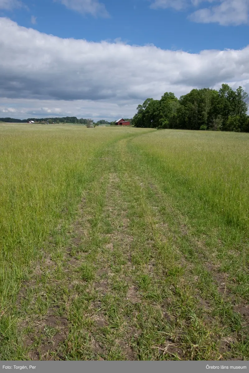 Äverstaån mynning vid Gäddeby.