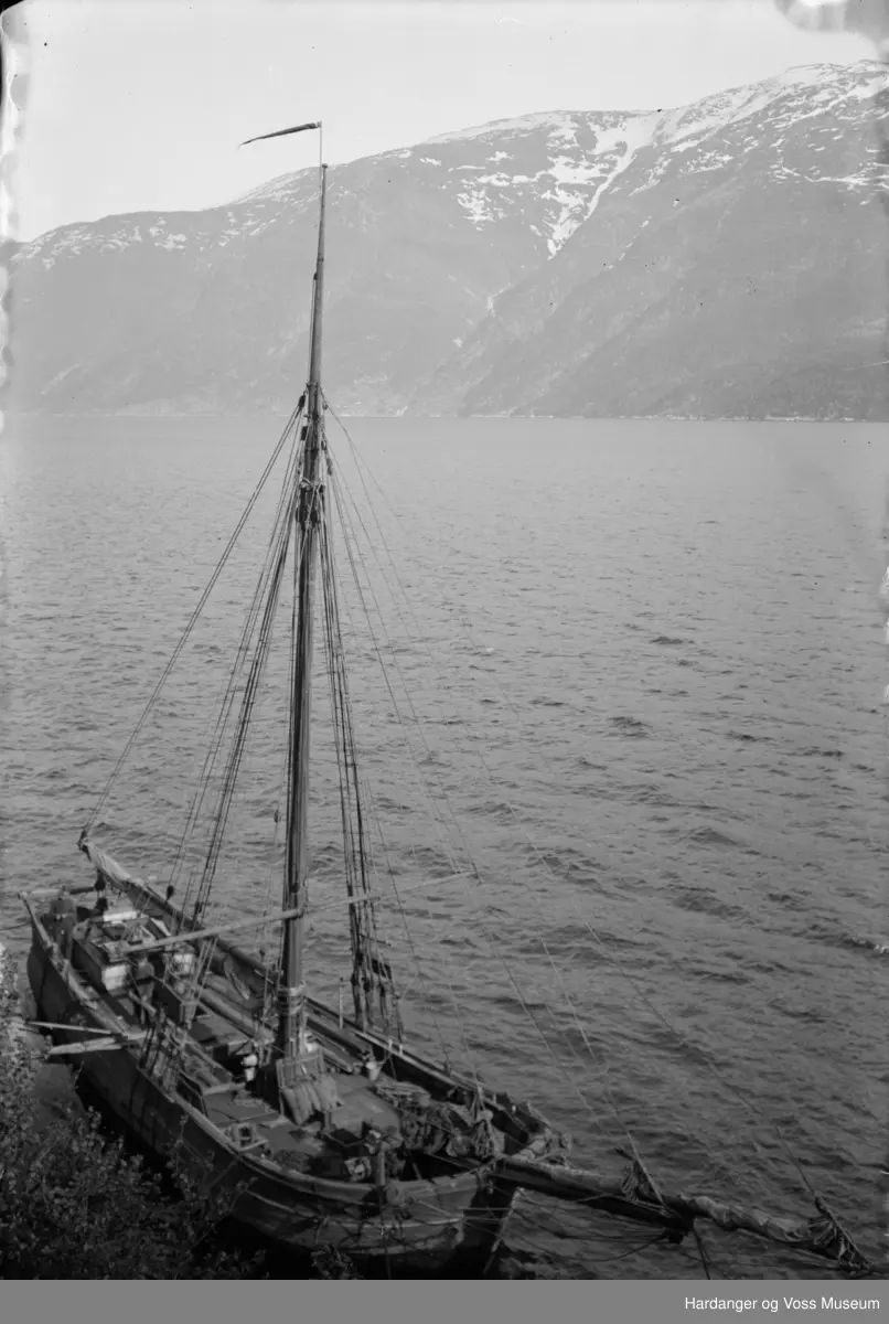 "Haabet" jakt ved land, lasting