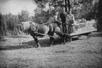 En häst drar en vagn lastad med säckar på en äng i närheten av skogen. Fem personer åker med på vagnen.