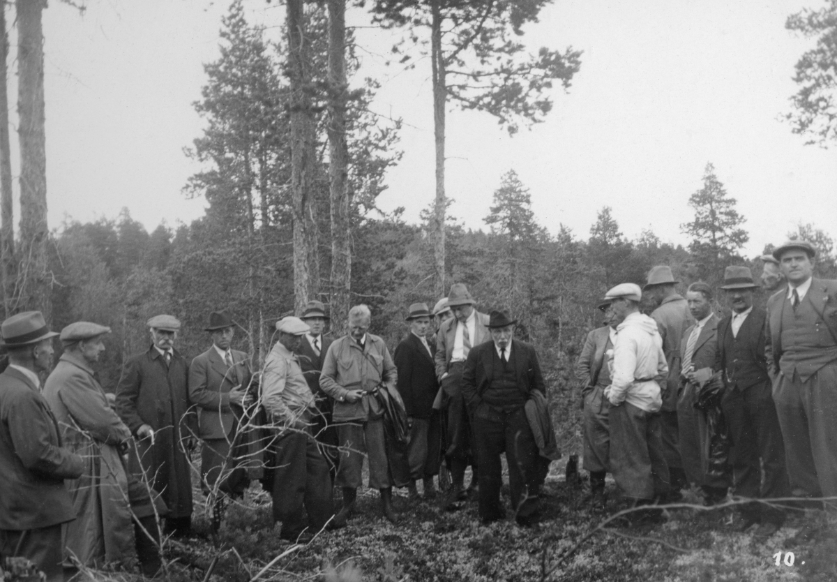 Gruppe på 18 menn samlet foran en forsenkning i terrenget på en furumo på Kjerringneset i Øvre Pasvik i Finnmark.  Mennene, hvorav de fleste er kledd i dress eller frakk, men enkelte også i vindjakker, er deltakere fra finnmarkekskursjonen som Nord-Norges Skogmannsforbund arrangerte sommeren 1938.  Fotografen har gitt bildet en tittel som tyder på at karene var i tvil om hvorvidt dette var ei dyregrav eller ei gammel fangstgrav.  Vegetasjonen i bakgrunnen består av glissen furuskog på grusjord med reinlav og tyttebærlyng som dominerende markvekster. 