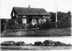 Grinstad. Råskog