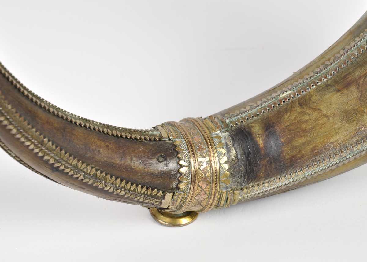 Drikkehorn med metallbeslag rundt kanten, to ringer rundt hornet, et beslag på spissen og smale langsgående beslag. Den største ringen har fester for støttebein. De nåværende beina er ikke de opprinnelige. Beslagene er av forgylt bronse. Krone i spissen. Graverte beslag med geometriske border.