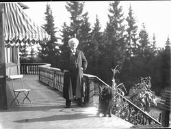 Bjørnson, veranda, hund, stol,