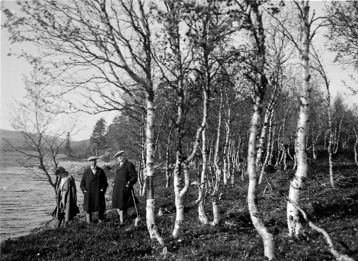 Seter, skog, menn, kvinne