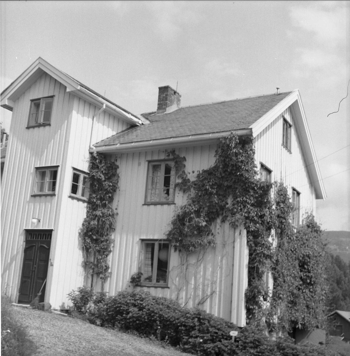 DOK:1980, drengestua,