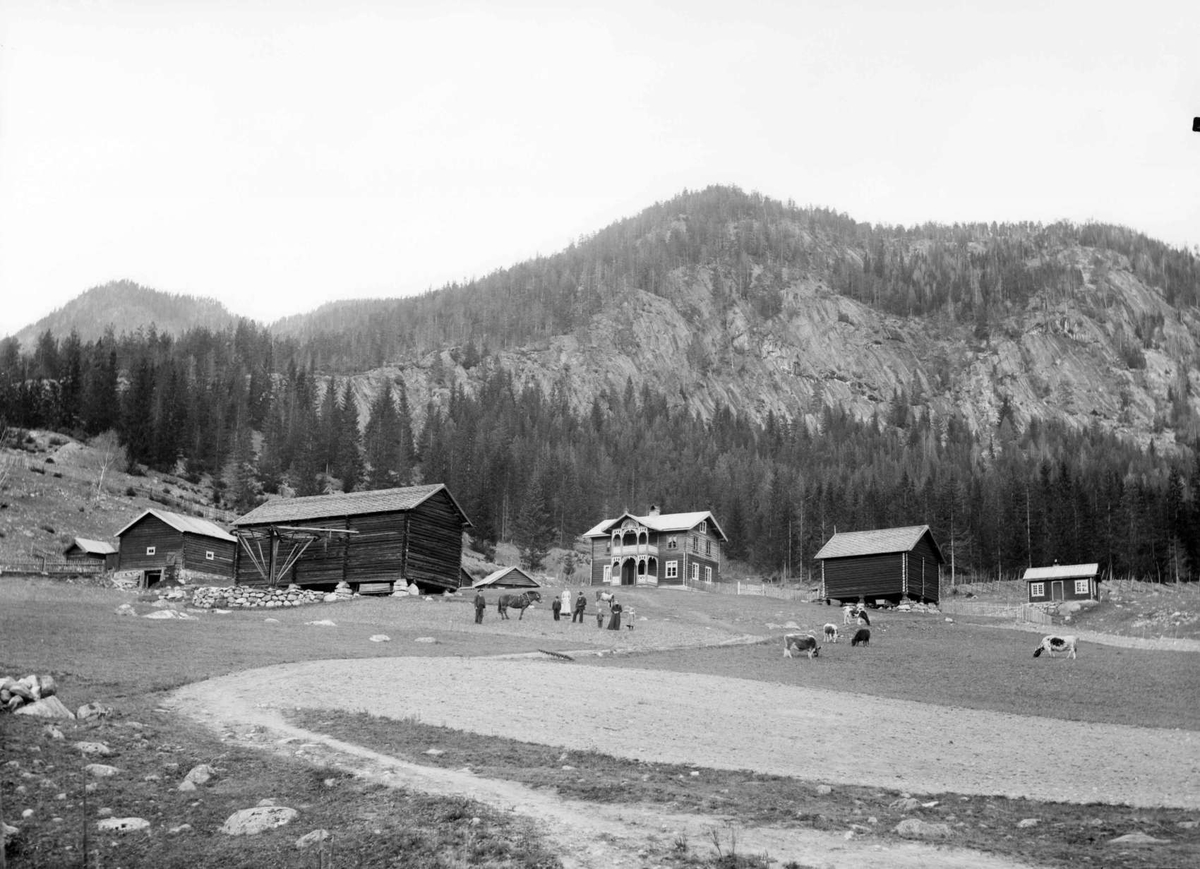 Hans T. Bergs gård  Børtnes  Hallingdal. 16.10.1906. Bolighus, uthus, kyr, personer.