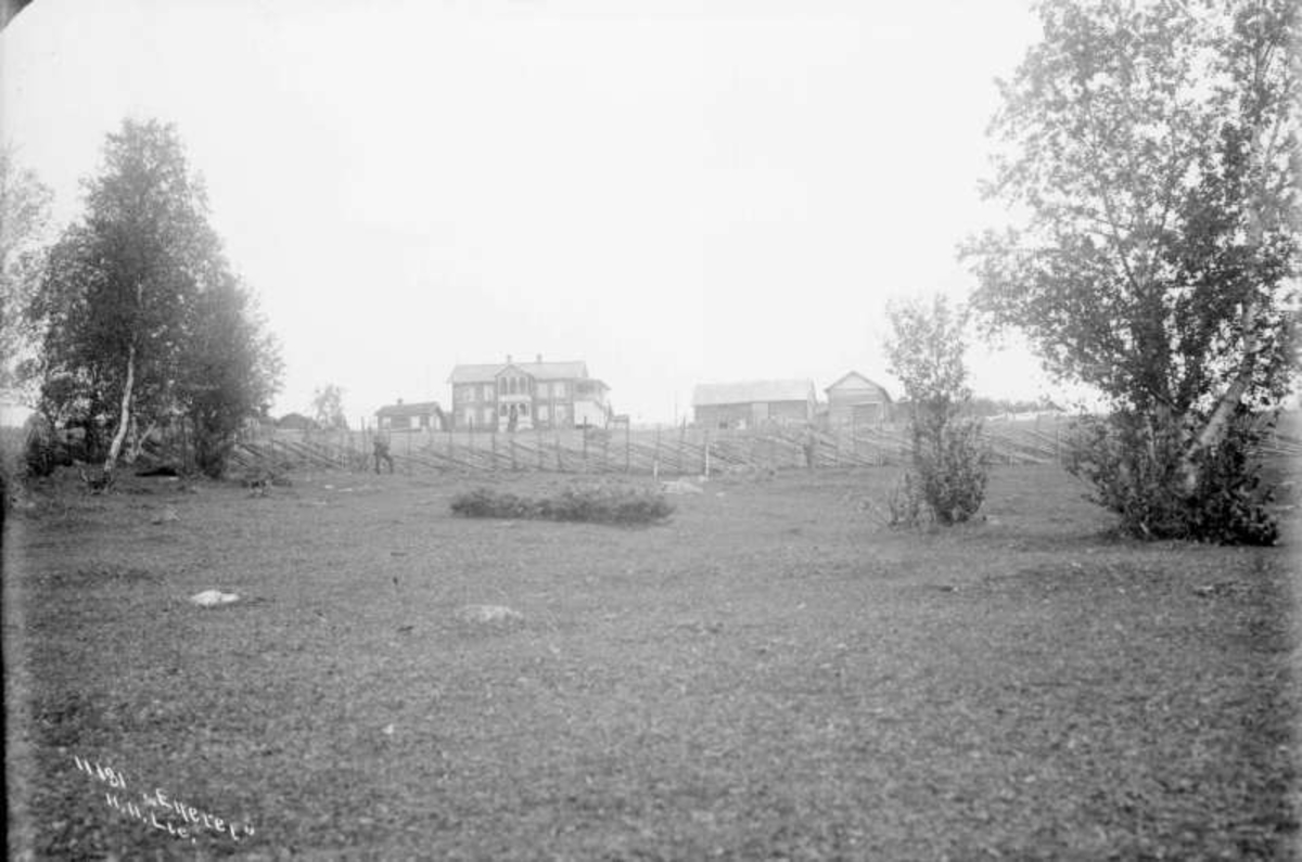 Nord-Fron 05.09.1908. Kampesæter sett nedenfra. Bolighus, uthus, skigard, bjørketrær.