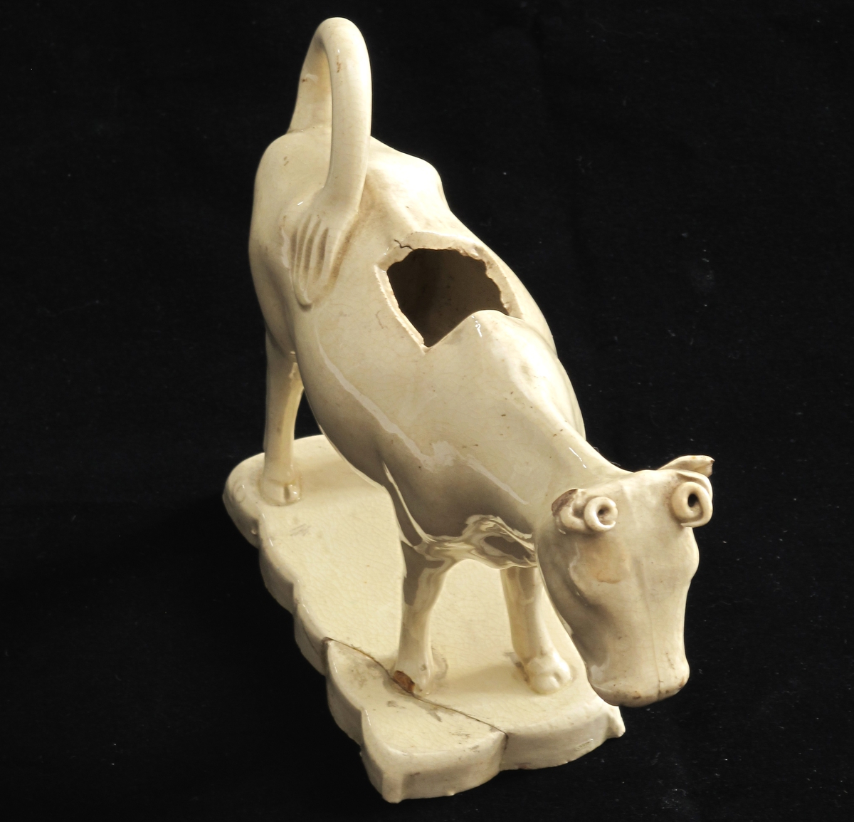 Stående ku med halen i bue