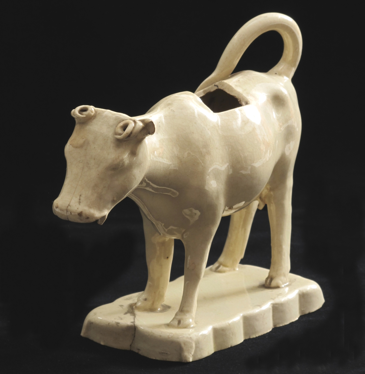 Stående ku med halen i bue