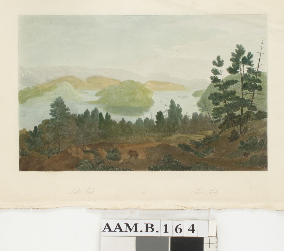 Innsjøen Sinli ( i Grimstadtraktene).  I forgrunnen åsside m. bjørn på platå, i bakgrunnen ser man ned på et vann med skogkledde øyer, omgitt av blå fjell. 