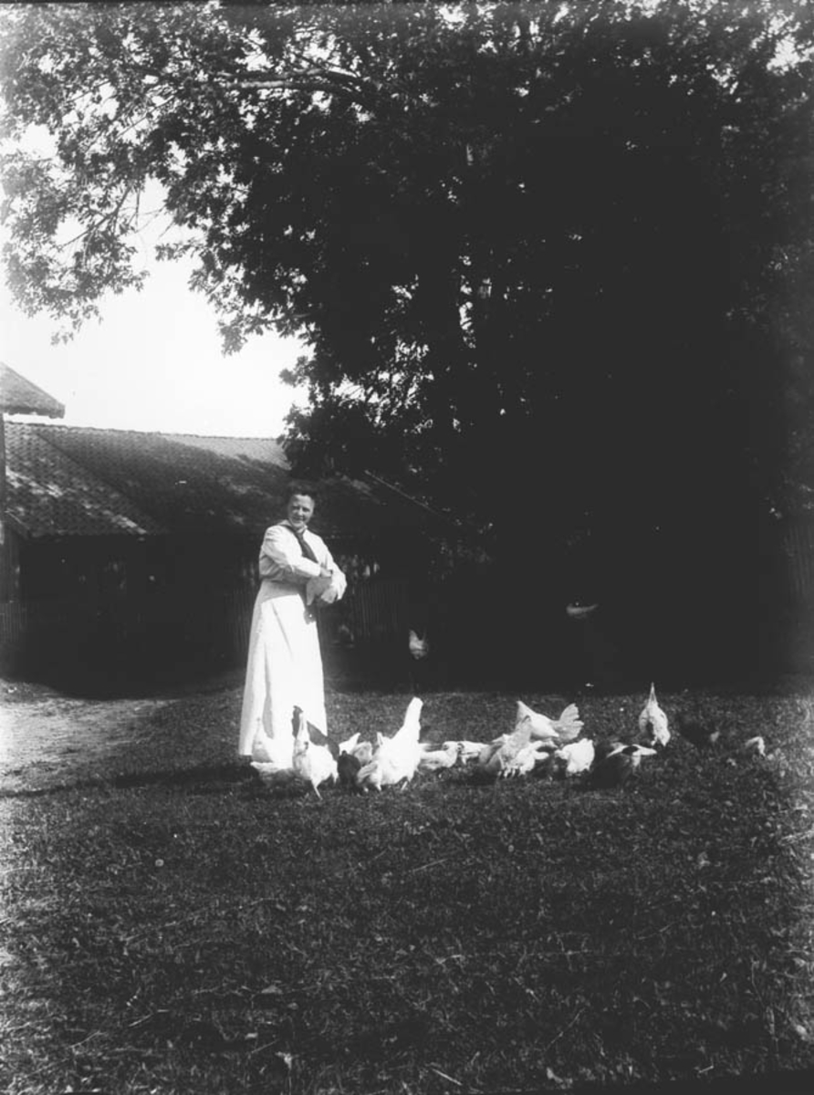 Sigrid Østby mater høns.