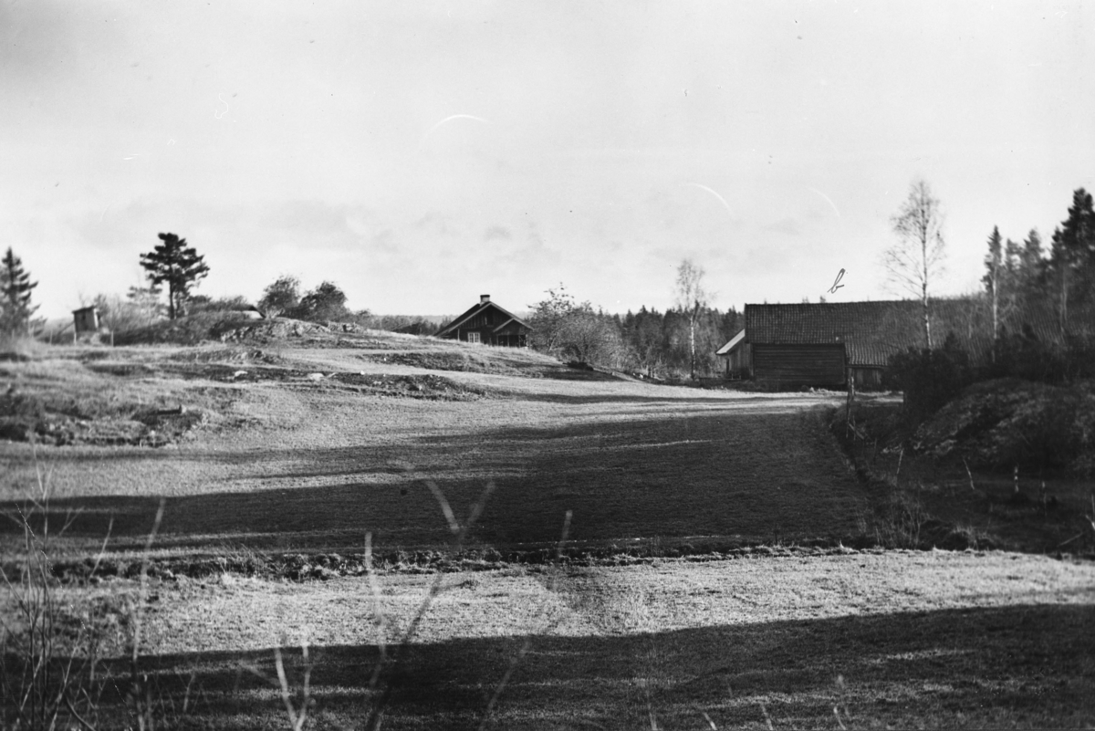 Torbjørnrud